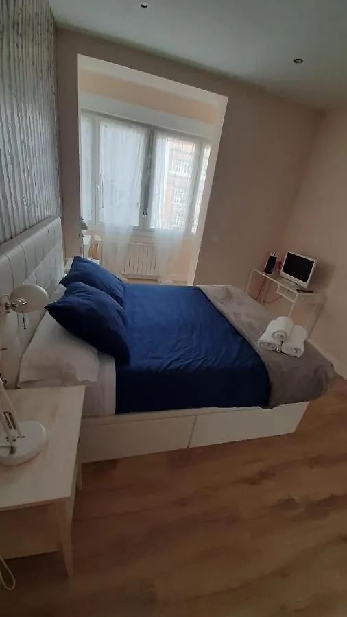 Homestay Guggenheim Bilbao Center Apartment