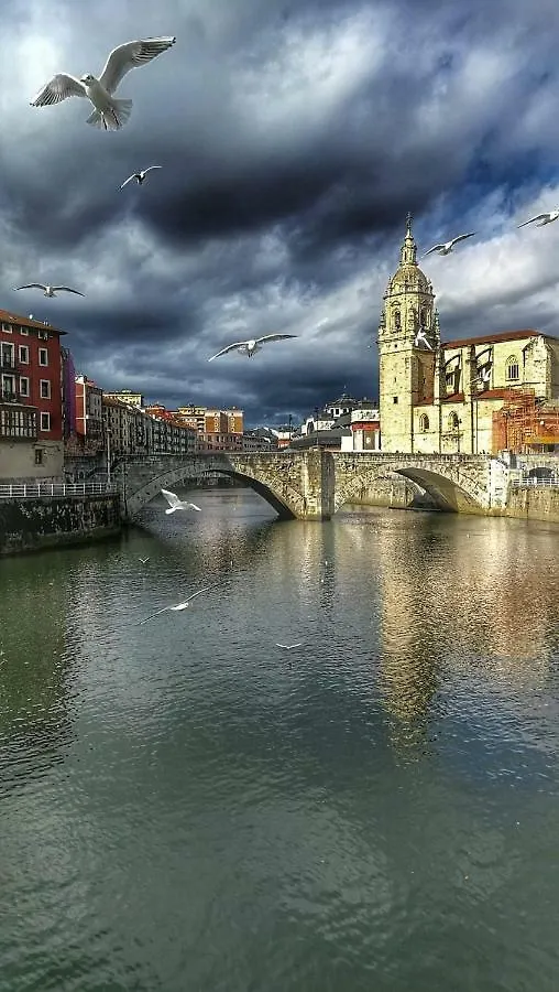 Homestay Guggenheim Bilbao Center Apartment